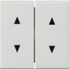 Gira | tweedelige wip met 4 x pijlsymbool | Systeem 55 ZWG | 115003