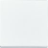ABB BUSCH- 6735 BT-84 FOH-BEDIENINGSWIP ENKEL FUTURE