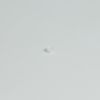 attema_2750_afdichtdop_7mm_naturel.jpg