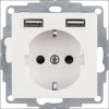 berker_48038989_wcd_ra_2_x_usb_s.1-b.x_pw_glz.jpg