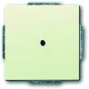 BUSCH-JAEG 1749-82 CPL 1XUIT BORING 10MM S-IVOOR