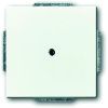 BUSCH-JAEG 1749-84 CPL 1XUIT BORING 10MM I ST WIT