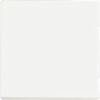Busch-Jaeger | Schakelwip 1-voudig | Future Linear Mat Wit | 1786-884