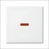 BUSCH-JAEG 1789-914 WIP WISS CTRL ROOD SI-B