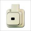 BUSCH-JAEG 2621 APJ PULSDR OPB 1P MAAK+PLAAT CR