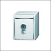 BUSCH-JAEG 2733 SLW-54 - Tweepolige (sleutel) wisselschakelaar