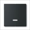 BUSCH-JAEG 6545-885 TOETS SERIEDIM 6565U F-MATZW