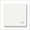busch-jaeg_2520_tr-884_wip_pulsdr_sleut_symb_f-matwt.jpg