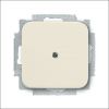 busch-jaeg_2538-212_cpl_blind_met_draagraam_si.jpg