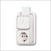 busch-jaeg_2601-5-2300_eapjw_combinatie_ra_serie_plaat_opb.jpg