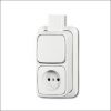 busch-jaeg_2601_6_2300_apjw_combinatie_wis_plaat_opb_ap_a.jpg