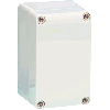 ELDON SABP131310GE KLEMKAST ABS 125X125X100 IP66