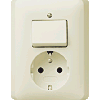 Gira | combinatie schakelaar/wandcontactdoos met randaarde | standaard 55 CWG | 017601