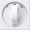 gira_inzpl_knop_stschak_zwg_55.gif