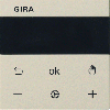 gira_s3000_rtr_bt_s55_cr.wit.gif