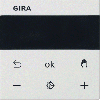 gira_s3000_rtr_bt_s55_z.wit_m.gif