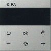 gira_s3000_rtr_disp_s55_edel.gif
