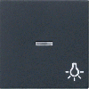 GIRA WIP CTRL LICHT SYS55 ZMT