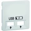 PEHA 80.610.02 USB SPV CENTR PL USB STAND LWT