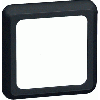 PEHA 771.19 AFDEKRAAM 1V ZWART COMPACTA