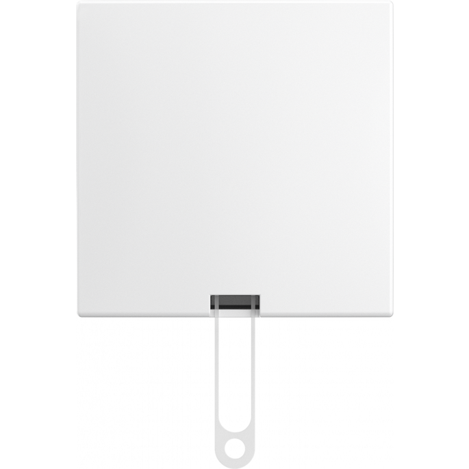 Busch-Jaeger | Trekschakelaar (wissel) | Opbouw wit | 2610/6 J-524 | 2TKA00005519