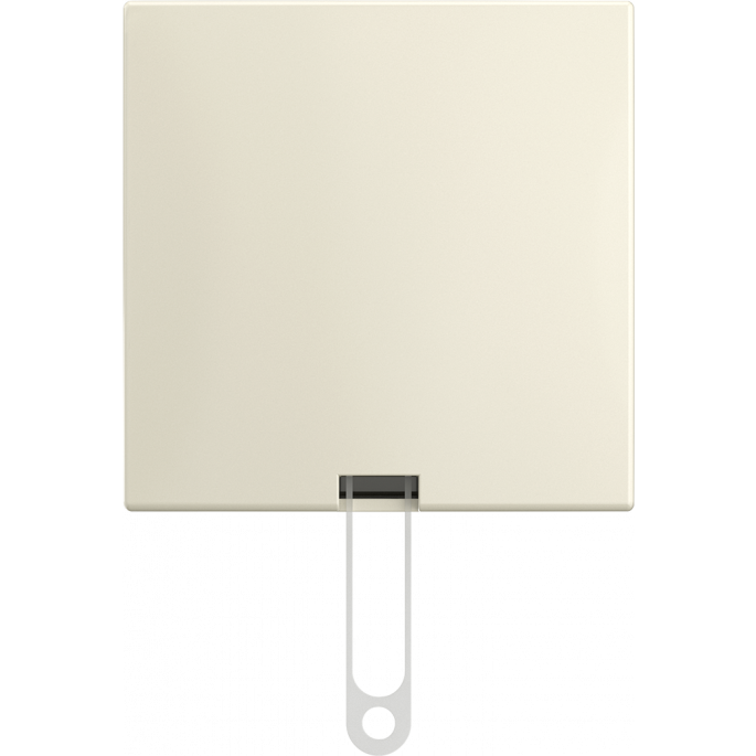 Busch-Jaeger | Trekschakelaar (wissel) | Opbouw crème | 2610/6 J-522 | 2TKA00005520