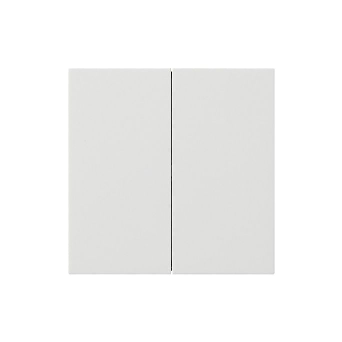 5362112.jpg
