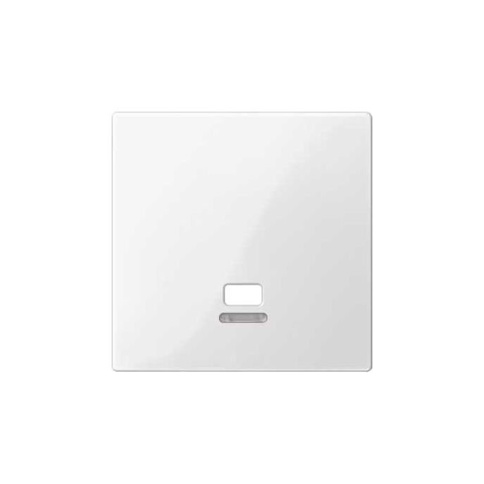 Schneider | Centraalplaat voor trekschakelaar | M-Smart Alpinwit | MTN3380-0319