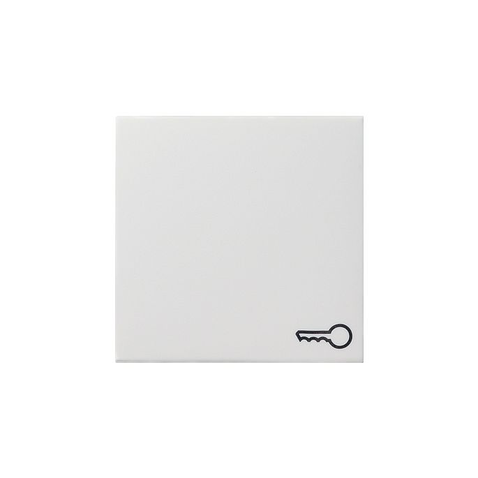 GIRA WIP DRUKCONT DEUR ZWG 55