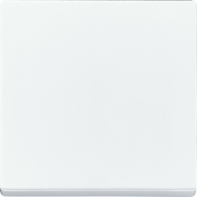 ABB BUSCH- 6735 BT-84 FOH-BEDIENINGSWIP ENKEL FUTURE