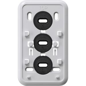 Gira | Montageplaat 2-voudig met randaarde | Opbouw Wit | 008011