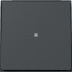 Gira schakelwip met controlevenster / TX44 antraciet / 329067