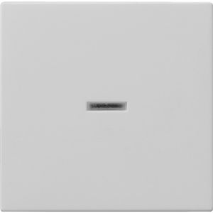 Gira | Schakelwip 1-voudig met controlevenster | Systeem 55 Grijs | 0290015