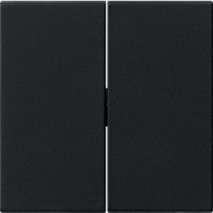 GIRA WIP 2V TASTSCH S55 ZMT