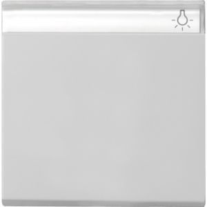 Gira | Schakelwip 1-voudig met tekstveld | Systeem 55 Grijs | 0299015