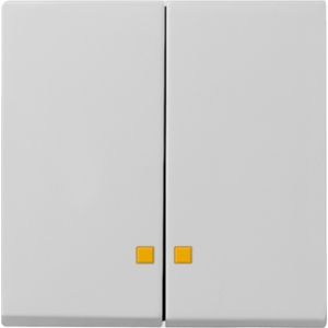 Gira | Schakelwip 2-voudig met controlevenster | Systeem 55 Grijs | 0631015