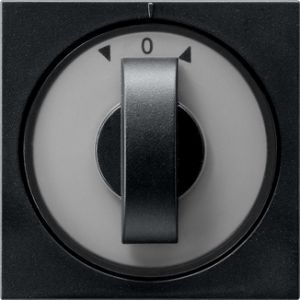 Gira | draaiknop tijdschakelaar \ jaloezieschakelaar | Systeem 55 ZMT | 0666005