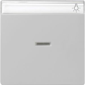 Gira | Schakelwip met controlevenster en tekstkader | Systeem 55 Grijs | 0670015