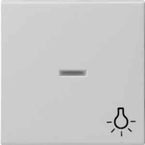 Gira | Schakelwip 1-voudig met lichtsymbool en controlevenster | Systeem 55 Grijs | 0674015