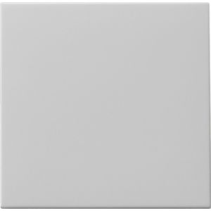 Gira | Schakelwip 1-voudig voor tastschakelaar | Systeem 55 Grijs | 0916015