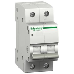 Schneider Domae hoofdschakelaar 40A, 2-polig - 12460 (OP=OP)