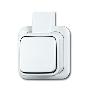 Busch-Jaeger | Wisselschakelaar | Opbouw Wit | 2601/6 APJW