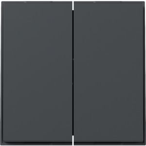 Gira schakelwip 2-voudig rechtstaand / TX44 antraciet / 349567
