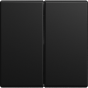 Busch-Jaeger | Schakelwip 2-voudig | Busch Balance SI Mat Zwart | 2505-915