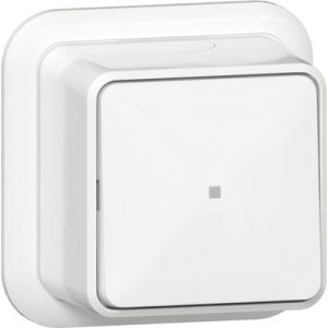Gira pulsdrukker maakcontact 1-polig met apart meldcontact opbouw wit / 315211