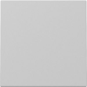 Gira schakelwip / Systeem 55 grijs mat / 3296015