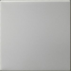 GIRA BEDE WIP O S55 EDEL 2600