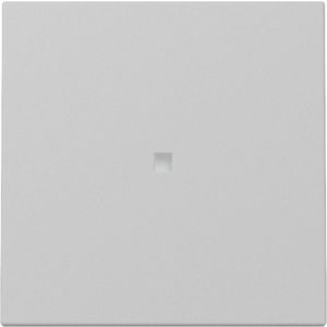 Gira schakelwip met controlevenster / Systeem 55 grijs mat / 3290015
