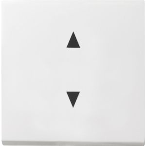 GIRA WIP PIJLSYMB S55 Z.WIT