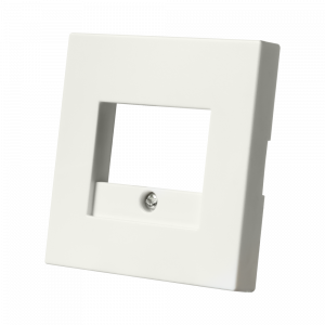 ION | Centraalplaat USB Lader  | V1/J1 Mat Alpin Wit | 20.300.515